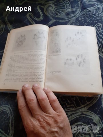 Книга Наръчник на Ловеца и Риболовеца, снимка 3 - Специализирана литература - 30186316