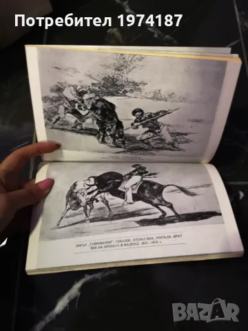 Гоя - Жан-Франсоа Шабрьон, снимка 3 - Художествена литература - 48493266