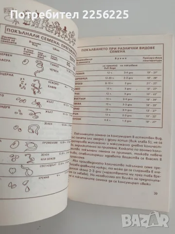 Покълнали семена. Млади поници., снимка 3 - Специализирана литература - 55811908