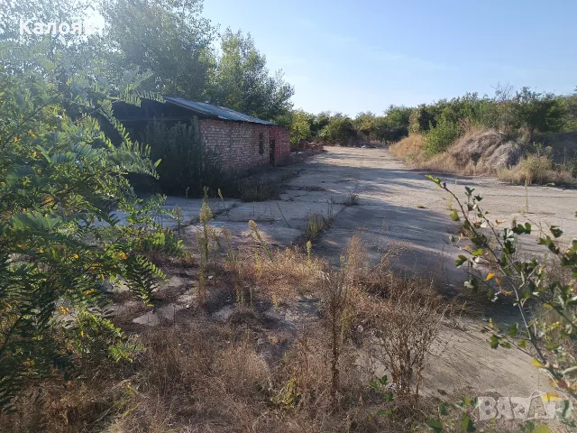 23 декара земя за продан или под наем, снимка 7 - Земеделска земя - 56009927