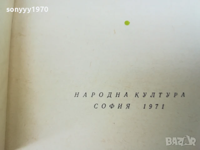 ПОСЛЕДНО ЛЯТО-РОМАН 2507250827, снимка 12 - Художествена литература - 51135584