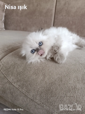 не е красив той е уникален Хасково свикнало с малко детенце 