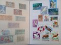 Луксозен албум с марки, снимка 7