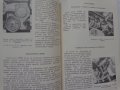Инструкция за експлуатация на ВаЗ 2101/2102 Лада книга към колата на Български език, снимка 13