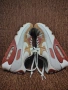 Nike air max 90 оригинални размер 41, снимка 6
