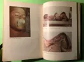 Книга Ръководство Практически Упражнения Съдебна Медицина, снимка 5