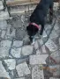 женска работеща на под земя.... , снимка 2