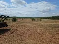 Почистване на пасища градини и терени. Мулчиране и Косене. Бързо и изгодно! , снимка 15