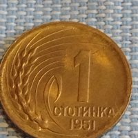 Монета 1 стотинка 1951г. България перфектно състояние за КОЛЕКЦИЯ ДЕКОРАЦИЯ 18116, снимка 3 - Нумизматика и бонистика - 44414399