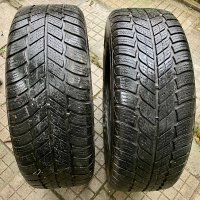 RikeN- чешки зимни гуми. R15-нови. 2бр. , снимка 9 - Гуми и джанти - 38849085