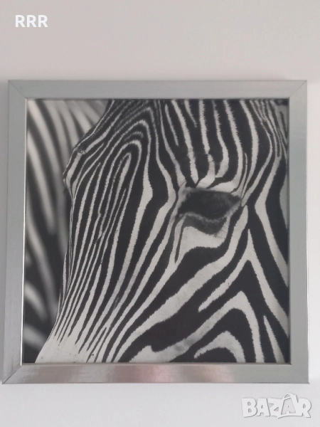 Картини, снимка 1