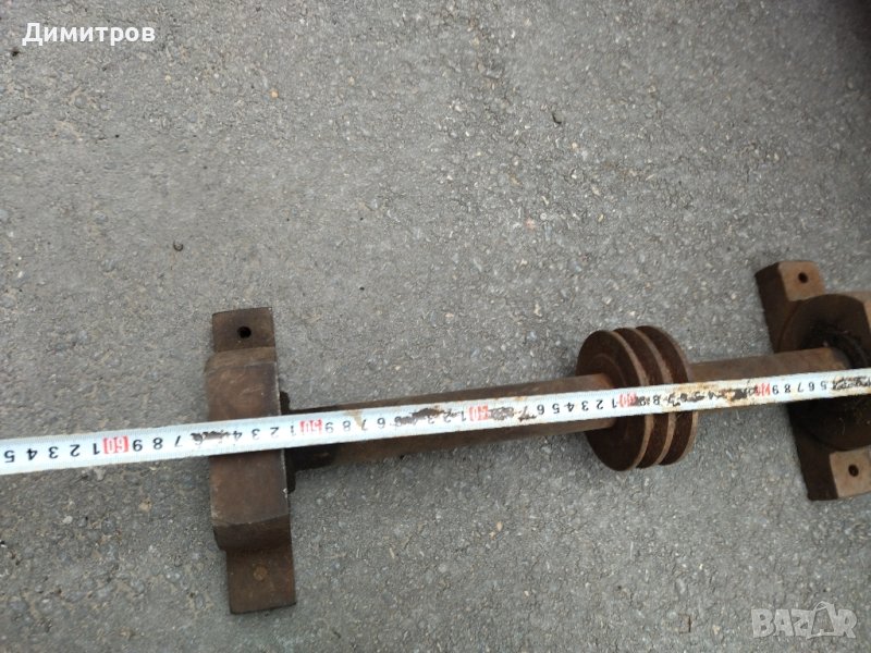 Ос, снимка 1