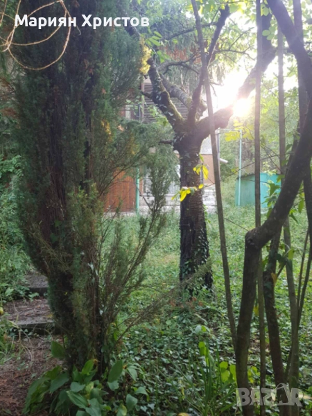 Граници и вашата планинска почивка, вила с. Реброво, гр. Своге, двуетажна с двор 500м2, снимка 1