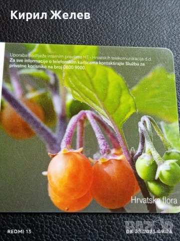 Фонокарта ХЪРВАТИЯ ФЛОРА много красива за КОЛЕКЦИЯ ДЕКОРАЦИЯ 50027, снимка 2 - Колекции - 51293838
