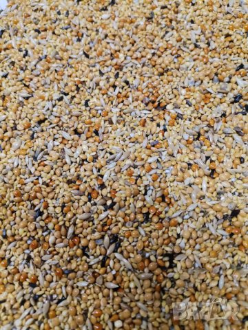 Смес/храна за гулдови амадини, снимка 1