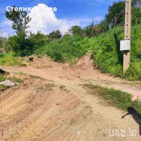 вила / къща с градина / имот / парцел 1500кв.м в с. Ветрен / обл. Силистра - цена 35 000лв или 17 89, снимка 5 - Етаж от къща - 52236966