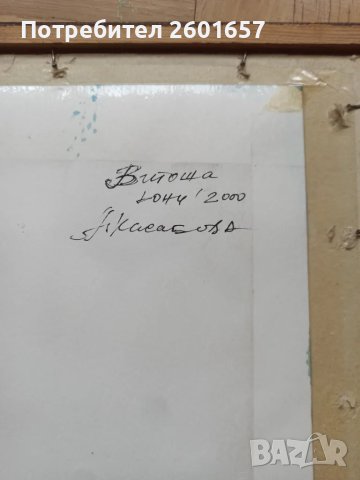 Красив акварел, А. Касабова, снимка 4 - Картини - 48950677