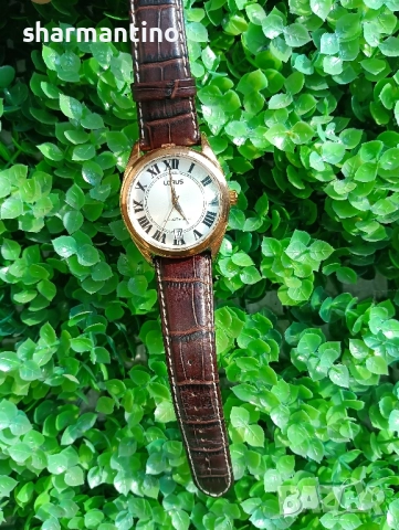 Lorus кварцов японски часовник със златен дизайн, снимка 2 - Мъжки - 51704197