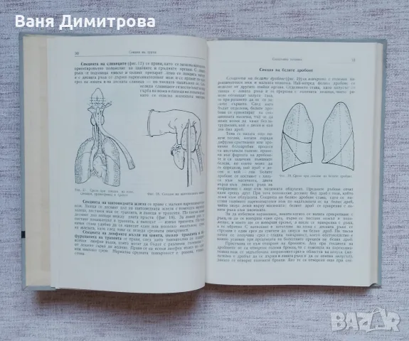 Практическо ръководство по патологична анатомия , снимка 4 - Специализирана литература - 55779319