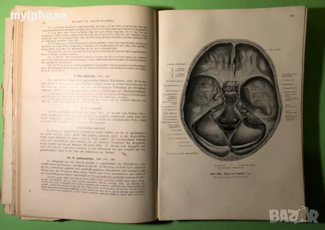 Стара Книга Анатомия ма Човека /Rauber Kopsch, снимка 7 - Специализирана литература - 49218517