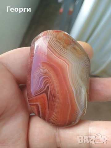 Ахат от Мадагаскар-2