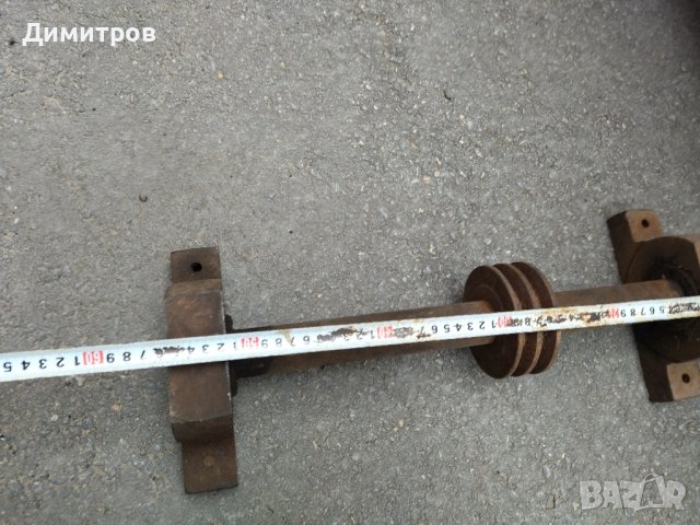 Ос, снимка 1