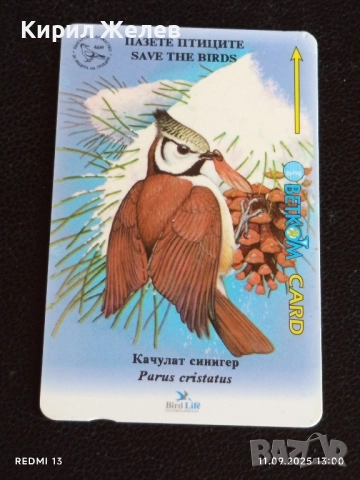 Три фонокарти БЕТКОМ тема БУХАЛ,СОКОЛ,СИНИГЕР 14907, снимка 6 - Колекции - 51677590