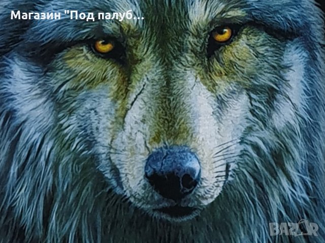 Нова детска тениска с дигитален печат Вълк, Серия Вълци, снимка 2 - Детски тениски и потници - 29902591