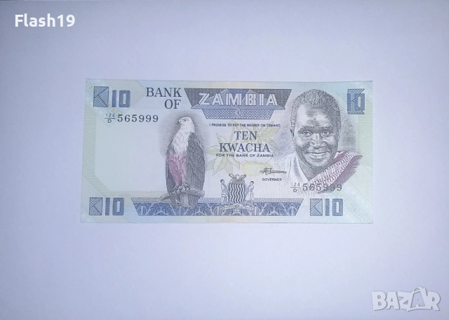 Замбия 10 квача 1980-1988 UNC