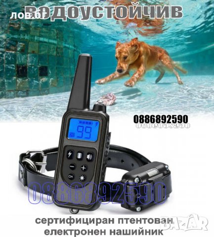Електронен нашийник за кучета, снимка 15 - За кучета - 32502652