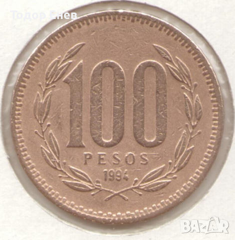 Chile-100 Pesos-1994-KM# 226, снимка 1 - Нумизматика и бонистика - 19017167