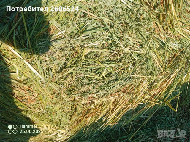 Рулонни бали овес., снимка 7 - За селскостопански - 48163698