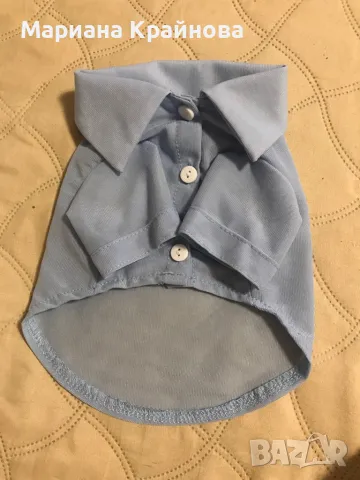 Дрехи за куче