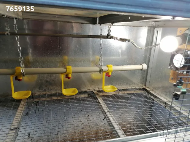 Брудери и клетки, снимка 8 - За селскостопански - 47449763