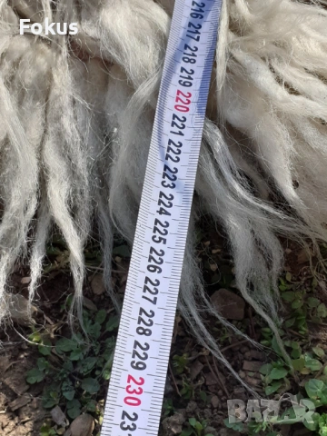 Стар губер китеник рогозка 100% естествена вълна, снимка 6 - Антикварни и старинни предмети - 53340399