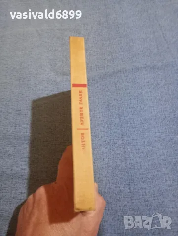 Димитър Мантов - Лудите глави , снимка 3 - Българска литература - 50342849