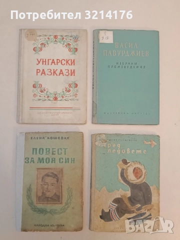 Повест за моя син - Елена Кошевая