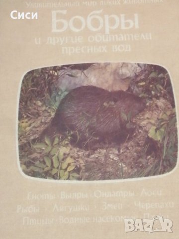 Бобры и другие обитатели пресньх вод