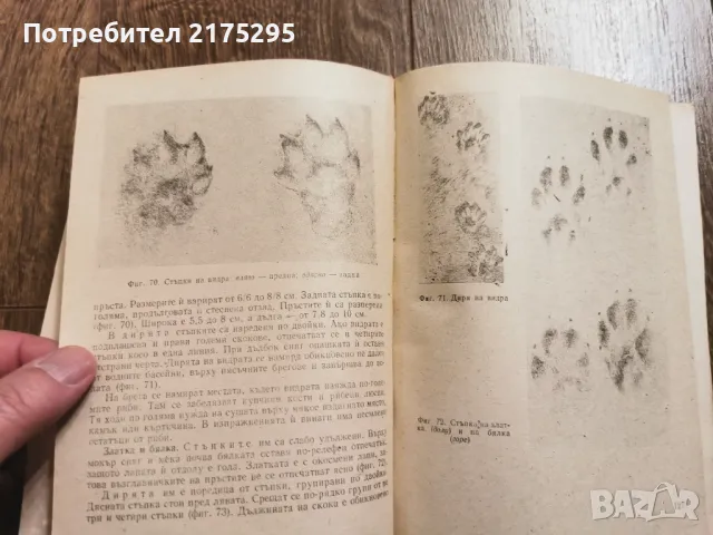 Наръчник на ловеца и риболовеца-Земиздат 1974г., снимка 6 - Специализирана литература - 49699300
