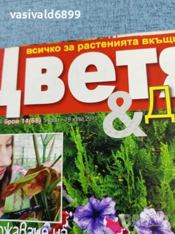 Списание "Цветя и дом" 5÷19 7/2011, снимка 2 - Списания и комикси - 56317417