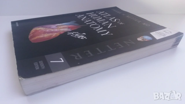 Атлас по анатомия - Atlas of Human Anatomy - Frank H. Netter, MD, 7-мо издание, снимка 3 - Учебници, учебни тетрадки - 54084472