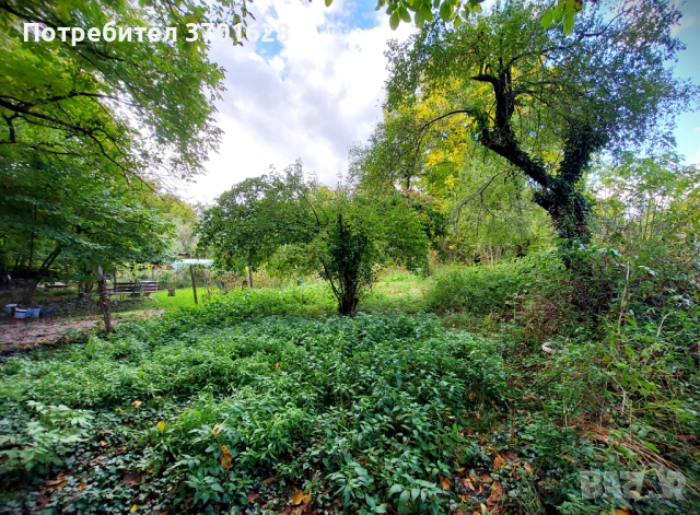 Продава къща село Орешак, обл. Ловеч, снимка 16 - Къщи - 51104582