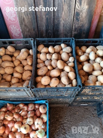 продавам  картофи сорая., снимка 3 - Домашни продукти - 51075422