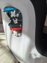 столче за кола Babyauto RÜCKKO Plus AY-i122 ISOFIX (0–18 кг), снимка 10