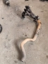 Downpipe даунпайп генерация колектор за Голф 4 Сеат 1.4 VW Golf 4 Seat 1.4 16V, снимка 1
