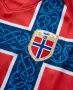 HAALAND 9 ❤️⚽️ детско юношески футболни екипи 🇳🇴 NORWAY 🇳🇴 НОВО сезон 2026-27 година , снимка 7