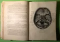 Стара Книга Анатомия ма Човека /Rauber Kopsch, снимка 7