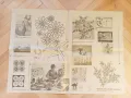 Подлистници с кройки от 70-те години от в. "Жената днес", снимка 12