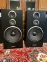 Pioneer cs 9030, снимка 1