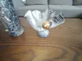 Керамична декорация за интериора, снимка 7
